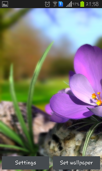 Scaricare Nature live: Spring flowers 3D — sfondi animati gratuiti per l'Android su un Desktop. 