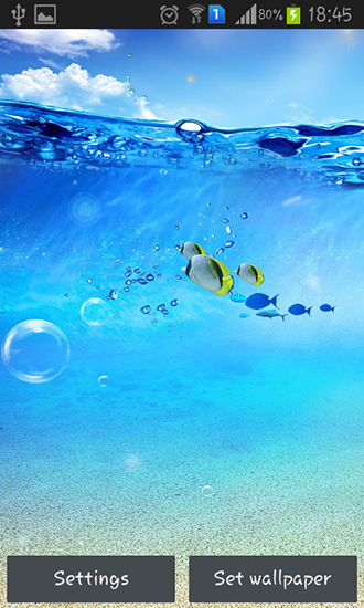 Scaricare Ocean — sfondi animati gratuiti per l'Android su un Desktop. 