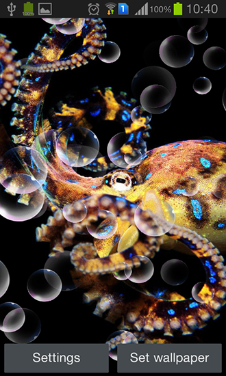 Scaricare Octopus — sfondi animati gratuiti per l'Android su un Desktop. 