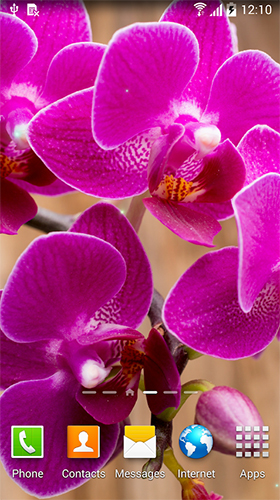Screenshot dello Schermo Orchids by BlackBird Wallpapers sul cellulare e tablet.