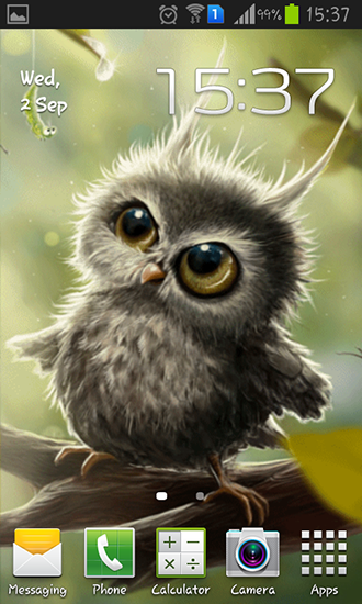 Scaricare Owl chick — sfondi animati gratuiti per l'Android su un Desktop. 