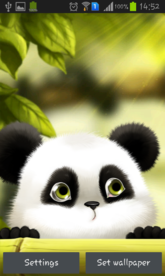 Scaricare Panda — sfondi animati gratuiti per l'Android su un Desktop. 