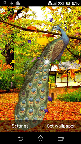 Screenshot dello Schermo Peacock by AdSoftech sul cellulare e tablet.