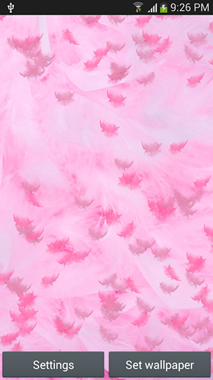 Scaricare Pink feather — sfondi animati gratuiti per l'Android su un Desktop. 