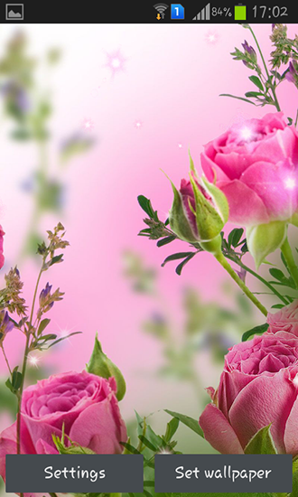 Scaricare Pink flowers — sfondi animati gratuiti per l'Android su un Desktop. 