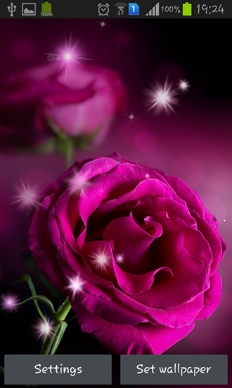 Scaricare Pink roses — sfondi animati gratuiti per l'Android su un Desktop. 