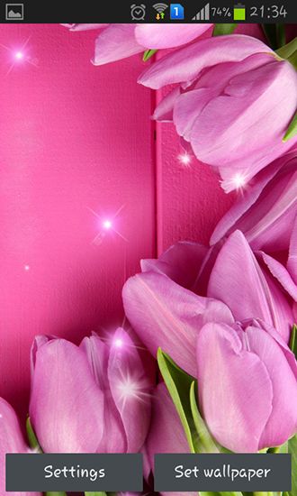 Scaricare Pink tulips — sfondi animati gratuiti per l'Android su un Desktop. 