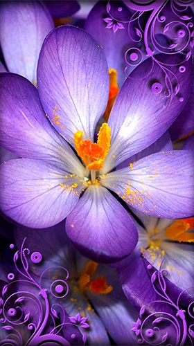 Screenshot dello Schermo Purple flowers sul cellulare e tablet.