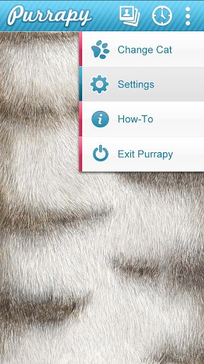 Scaricare Purrapy — sfondi animati gratuiti per l'Android su un Desktop. 