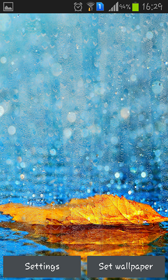 Scaricare Rainy autumn — sfondi animati gratuiti per l'Android su un Desktop. 