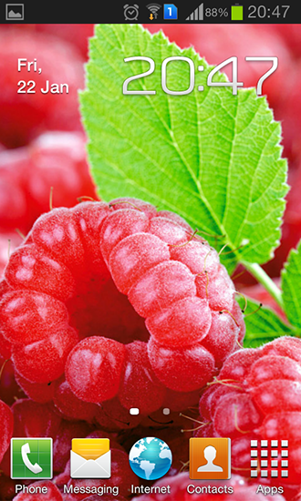 Scaricare Raspberries — sfondi animati gratuiti per l'Android su un Desktop. 