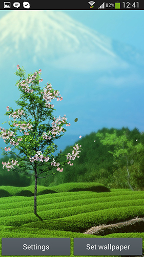 Scaricare Sakura by DIVARC GROUP — sfondi animati gratuiti per l'Android su un Desktop. 