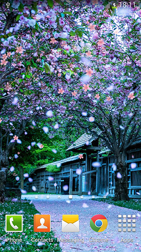 Scaricare Sakura by orchid — sfondi animati gratuiti per l'Android su un Desktop. 