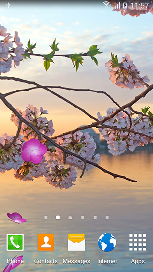 Scaricare Sakura gardens — sfondi animati gratuiti per l'Android su un Desktop. 