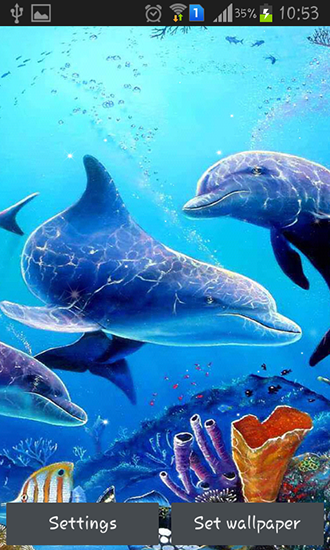 Scaricare Sea dolphin — sfondi animati gratuiti per l'Android su un Desktop. 