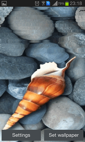 Scaricare Seashell by Memory lane — sfondi animati gratuiti per l'Android su un Desktop. 