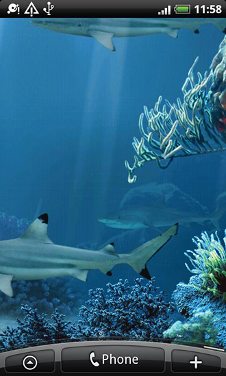 Scaricare Shark reef — sfondi animati gratuiti per l'Android su un Desktop. 