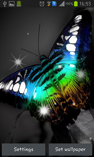 Scaricare Shiny butterfly — sfondi animati gratuiti per l'Android su un Desktop. 