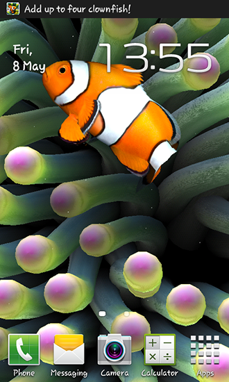Scaricare Sim aquarium — sfondi animati gratuiti per l'Android su un Desktop. 
