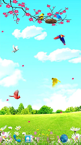 Screenshot dello Schermo Sky birds sul cellulare e tablet.