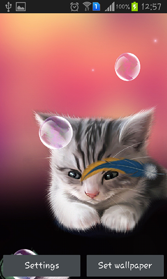 Scaricare Sleepy kitten — sfondi animati gratuiti per l'Android su un Desktop. 