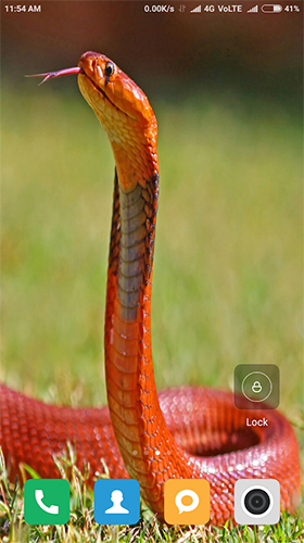 Screenshot dello Schermo Snake HD sul cellulare e tablet.