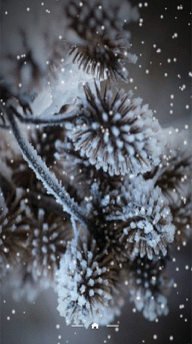 Screenshot dello Schermo Snow by Ultimate Live Wallpapers PRO sul cellulare e tablet.