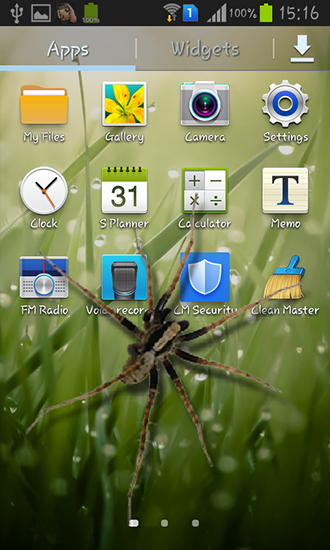 Scaricare Spider in phone — sfondi animati gratuiti per l'Android su un Desktop. 