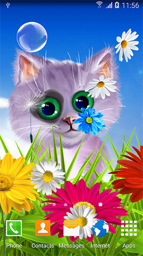 Screenshot dello Schermo Spring cat sul cellulare e tablet.