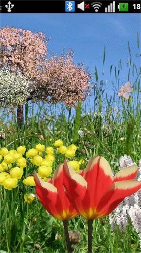 Screenshot dello Schermo Spring flowers by SoundOfSource sul cellulare e tablet.