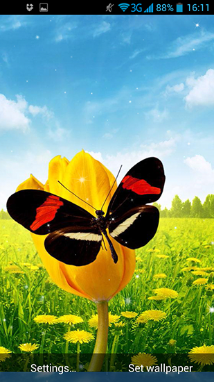 Scaricare Spring butterflies — sfondi animati gratuiti per l'Android su un Desktop. 