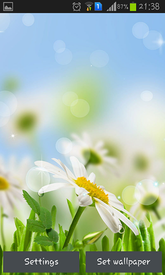 Scaricare Spring flower — sfondi animati gratuiti per l'Android su un Desktop. 