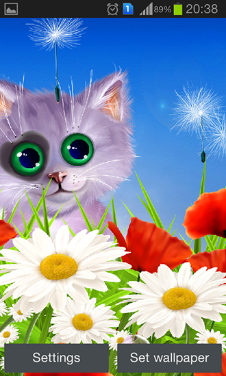 Scaricare Spring: Kitten — sfondi animati gratuiti per l'Android su un Desktop. 