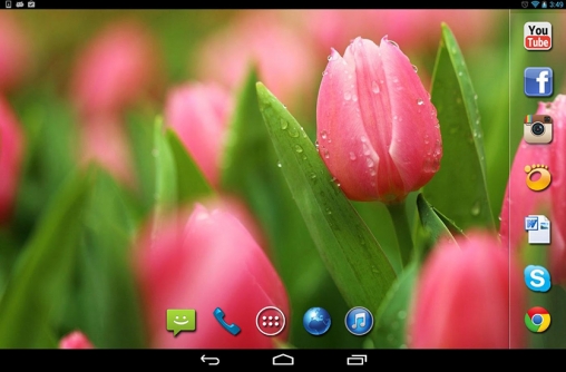 Scaricare Spring rain — sfondi animati gratuiti per l'Android su un Desktop. 