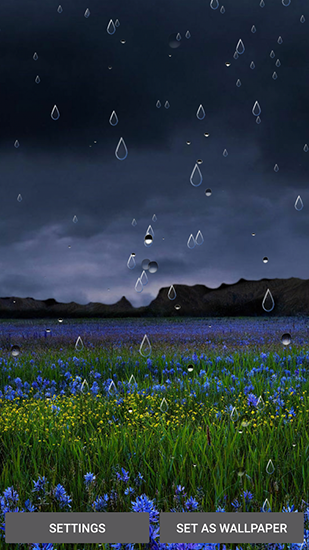 Scaricare Spring rain by Locos apps — sfondi animati gratuiti per l'Android su un Desktop. 