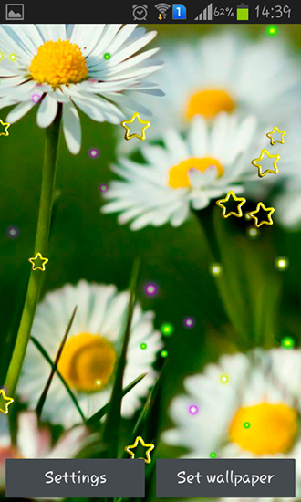 Scaricare Summer camomile — sfondi animati gratuiti per l'Android su un Desktop. 