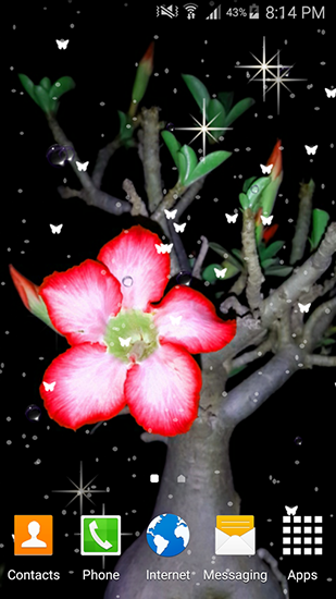 Scaricare Summer flowers by Stechsolutions — sfondi animati gratuiti per l'Android su un Desktop. 