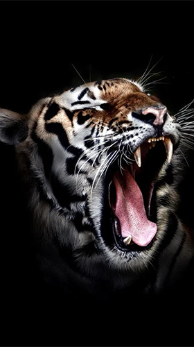 Screenshot dello Schermo Tigers by Live Wallpaper HD 3D sul cellulare e tablet.