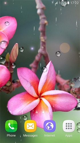 Screenshot dello Schermo Tropical flowers sul cellulare e tablet.
