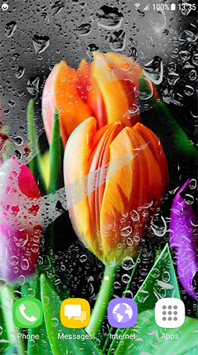 Screenshot dello Schermo Tulips by Live Wallpapers 3D sul cellulare e tablet.
