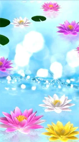 Screenshot dello Schermo Water lily sul cellulare e tablet.