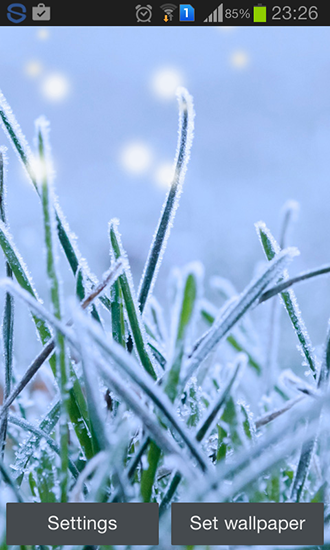 Scaricare Winter grass — sfondi animati gratuiti per l'Android su un Desktop. 