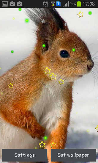 Scaricare Winter squirrel — sfondi animati gratuiti per l'Android su un Desktop. 