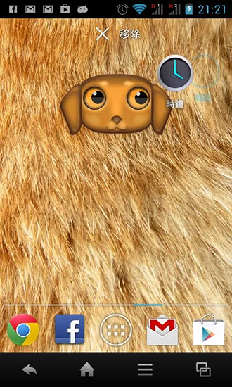 Scaricare Zoo: Dog — sfondi animati gratuiti per l'Android su un Desktop. 
