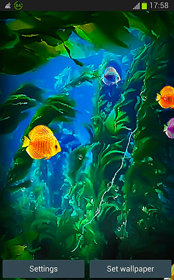 Screenshot dello Schermo Aquarium 3D by Pups apps sul cellulare e tablet.
