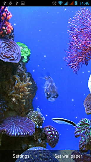 Screenshot dello Schermo Aquarium by Best Live Wallpapers Free sul cellulare e tablet.