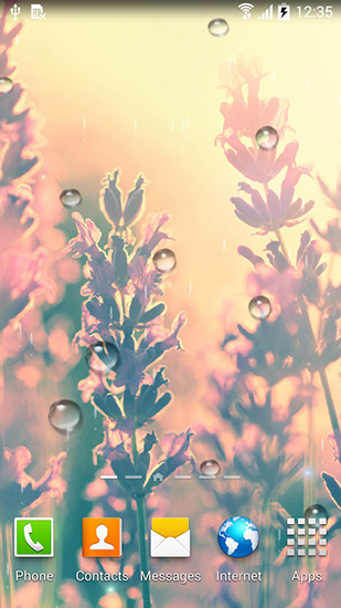 Screenshot dello Schermo Autumn flowers sul cellulare e tablet.