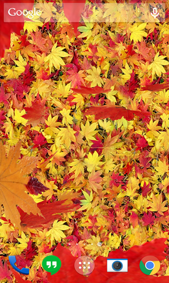 Screenshot dello Schermo Autumn Leaves sul cellulare e tablet.