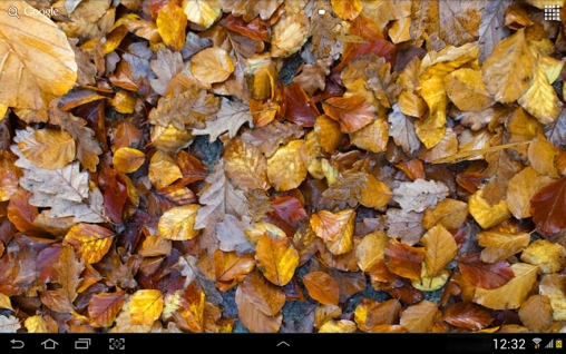 Screenshot dello Schermo Autumn leaves 3D sul cellulare e tablet.