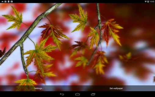 Screenshot dello Schermo Autumn leaves 3D by Alexander Kettler sul cellulare e tablet.